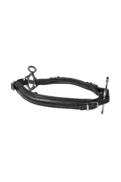 FRA Calli Hackamore (System 2) Mit Zügeln -Reitsportbedarf 322945 BL 2