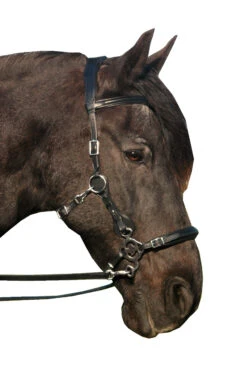 FRA Calli Hackamore (System 2) Mit Zügeln -Reitsportbedarf 322945 BL 3