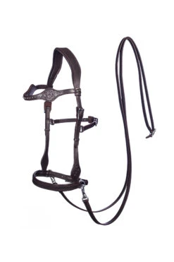 FRA Dandy Sidepull (System 3) Leather, W/ Leather Clip Reins -Reitsportbedarf 322950 BR 1