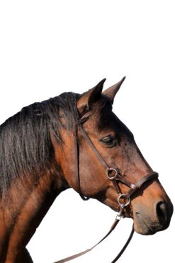 FRA Pardoes Sidepull (System 3) Leder Mit Anti Slip Zügeln -Reitsportbedarf 322960 BR 2