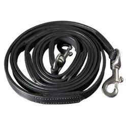 Karlslund Hraun Zügel