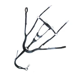 Kavalkade Vorderzeug Caya, W