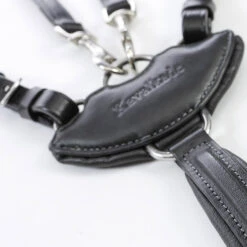 Kavalkade Vorderzeug Dekor, W -Reitsportbedarf 325207 BL 3