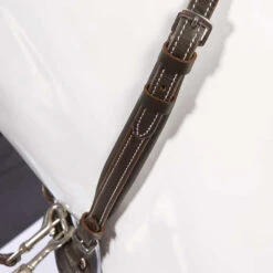 Kavalkade Vorderzeug Dekor, W -Reitsportbedarf 325207 BR 2