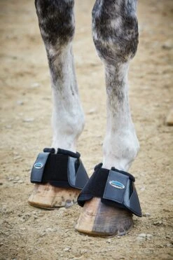 Weatherbeeta Impact Hufglocken -Reitsportbedarf 327098 BL 1