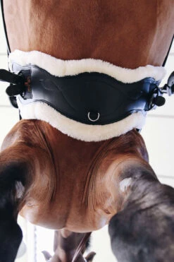 Kentucky Horsewear Lederkurzgurt Sheepskin Dressage -Reitsportbedarf 329961 BL 5
