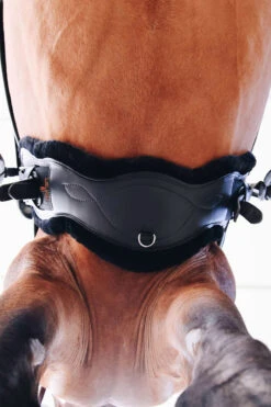 Kentucky Horsewear Lederkurzgurt Sheepskin Dressage -Reitsportbedarf 329961 BL 6