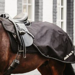 Back On Track Sammy Ausreitdecke, 50g -Reitsportbedarf 331628 BL 4