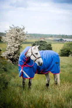 Horseware Amigo Bravo 12 Reflective Plus Winterdecke Mit Abnehmbarem Halsteil, 250g 11 Horseware Amigo Bravo 12 Reflective Plus Winterdecke Mit Abnehmbarem Halsteil, 250g -Reitsportbedarf 332730 B PI 5