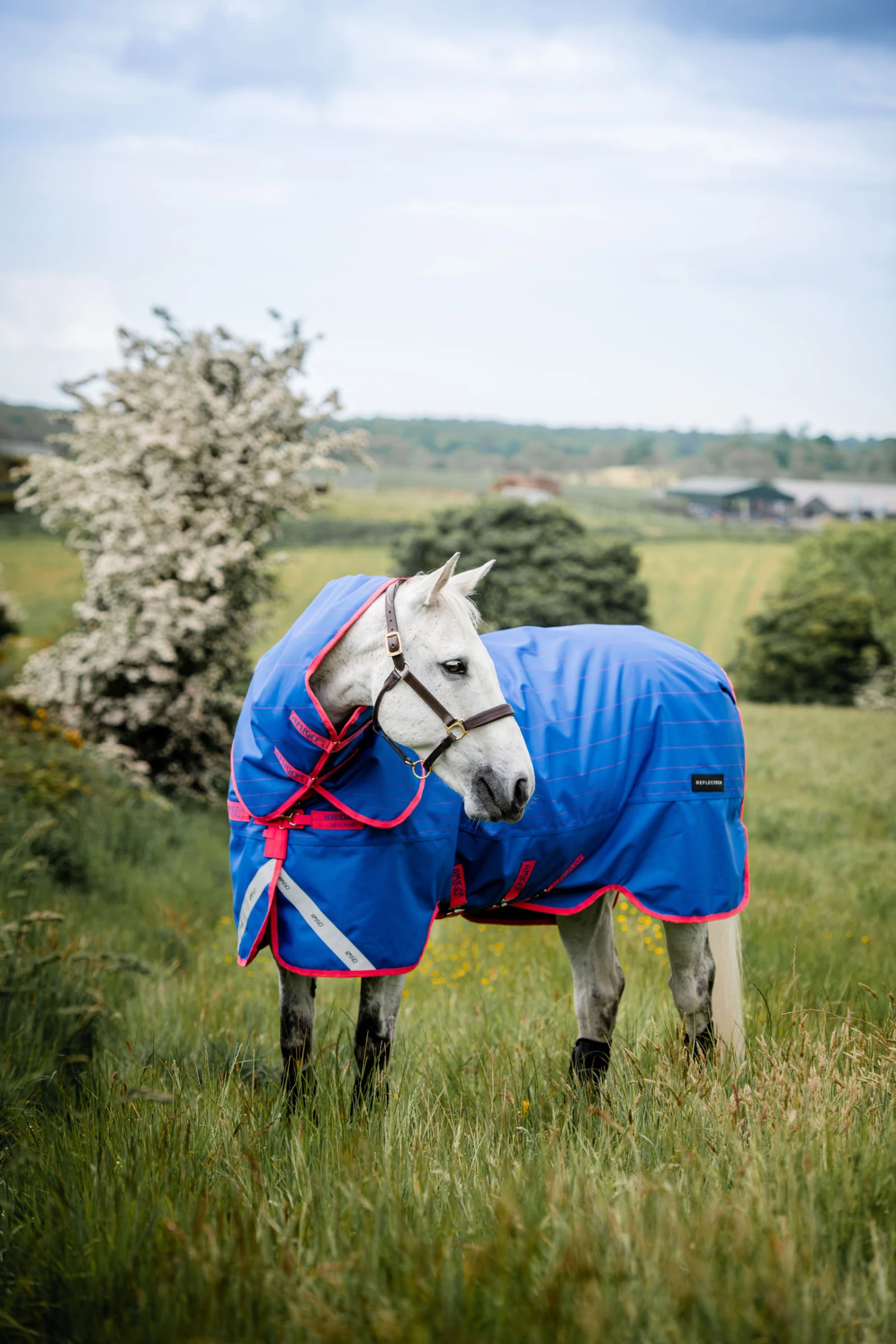 Horseware Amigo Bravo 12 Reflective Plus Winterdecke Mit Abnehmbarem Halsteil, 250g 6 Horseware Amigo Bravo 12 Reflective Plus Winterdecke Mit Abnehmbarem Halsteil, 250g – Bild 6