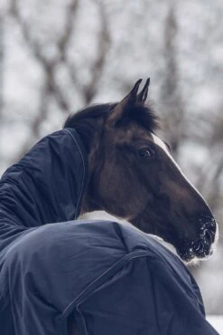 Kentucky Horsewear All Weather Waterproof Classic Winterdecke, 300g -Reitsportbedarf 333289 DB 6