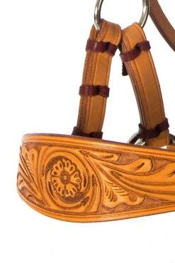 F.R.A. Diego Gebisslose Trense -Reitsportbedarf 334265 NAT 9