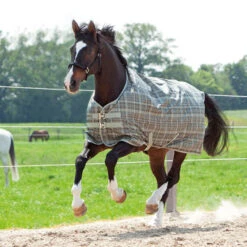 Kavalkade Montreal Weidedecke, 100g -Reitsportbedarf 335735 GR CHK 1