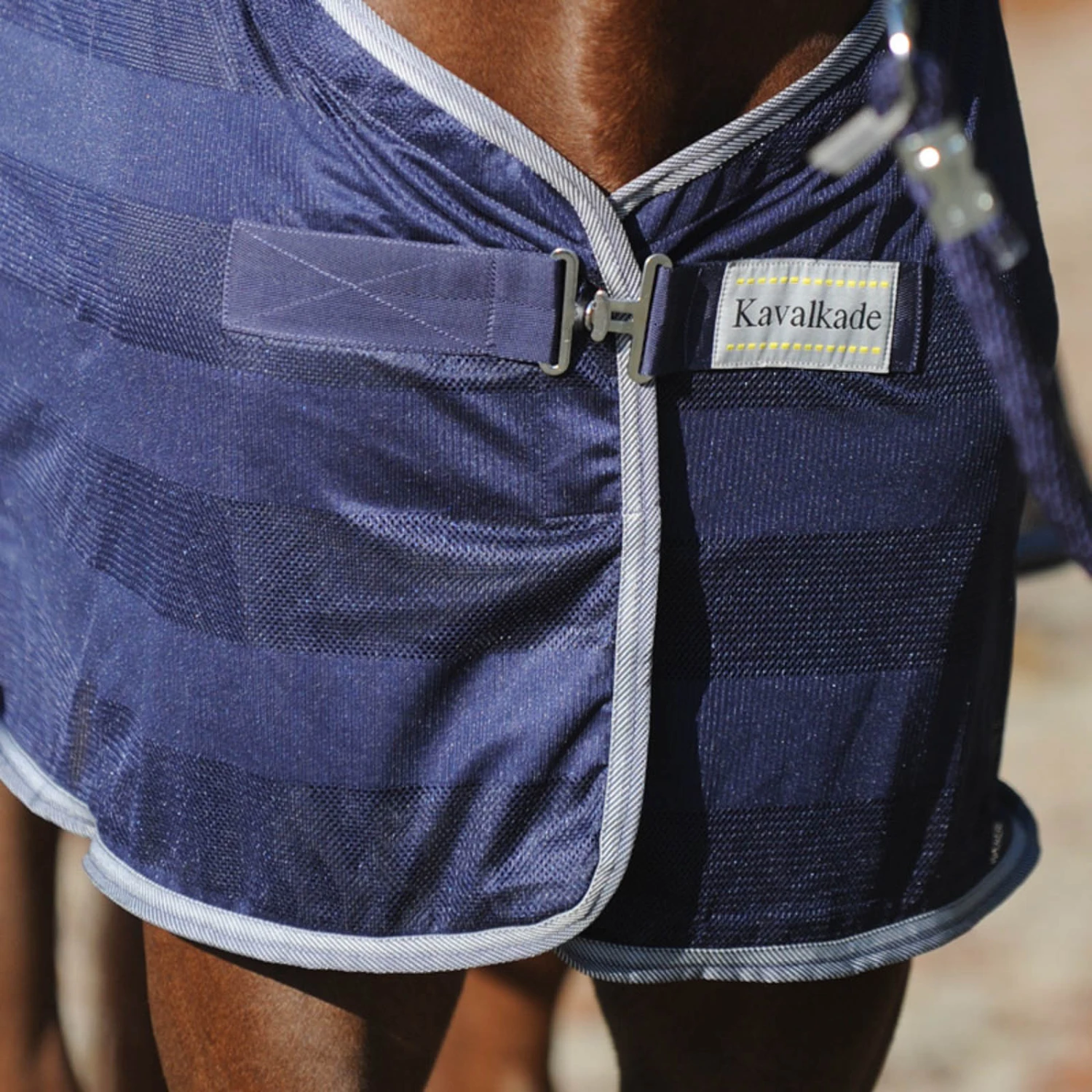 Kavalkade Stripe Fliegendecke 2 Kavalkade Stripe Fliegendecke – Bild 2