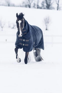 Kentucky Horsewear Tiny All Weather Weidedecke, 300g -Reitsportbedarf 336887 DB 3