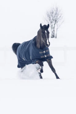 Kentucky Horsewear Tiny All Weather Weidedecke, 300g -Reitsportbedarf 336887 DB 4