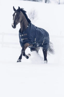 Kentucky Horsewear Tiny All Weather Weidedecke, 300g -Reitsportbedarf 336887 DB 5