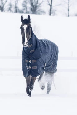 Kentucky Horsewear Tiny All Weather Weidedecke, 300g -Reitsportbedarf 336887 DB 6