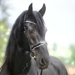 Kavalkade KavalSH4 Juliana Trense Englisch-kombiniert