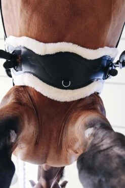 Kentucky Horsewear Anatomischer Lammfell Gurtschoner -Reitsportbedarf 338010 NAT 4