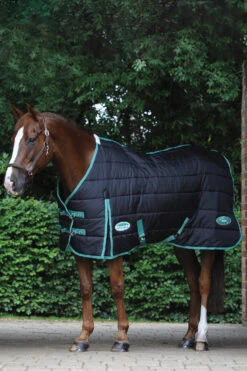 Weatherbeeta Green-Tec Stalldecke, 150g -Reitsportbedarf 338285 BL BDGR 4