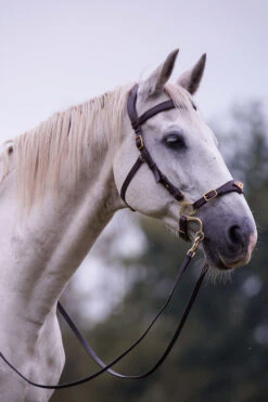 F.R.A. Imperial Hackamore Zaum -Reitsportbedarf 340176 BR 2