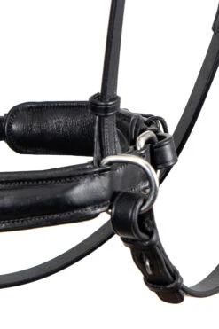 F.R.A. Alizée Mistral Gebissloser Zaum 14 F.R.A. Alizée Mistral Gebissloser Zaum -Reitsportbedarf 340183 BL BL 3