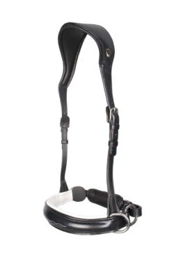 F.R.A. Alizée Mistral Gebissloser Zaum 20 F.R.A. Alizée Mistral Gebissloser Zaum -Reitsportbedarf 340183 BL WH 2