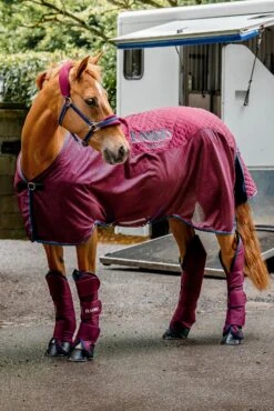 Horseware Rambo Travel Series Transportdecke, 50g -Reitsportbedarf 340250 BU BU TLB 01