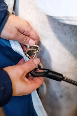 Horseware AmEco Liner, 100g -Reitsportbedarf 340947 TE G 7