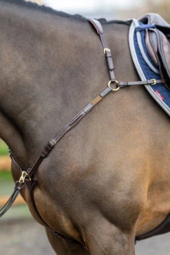 LeMieux Vorderzeug Mit Abnehmbarem Martingal -Reitsportbedarf 342208 HVBR 4