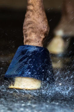 Waldhausen Water Boot, Paar 7 Waldhausen Water Boot, Paar -Reitsportbedarf 342831 B 4