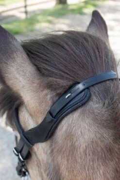 Waldhausen Anatomic Island Trensenzaum -Reitsportbedarf 343984 BL 4