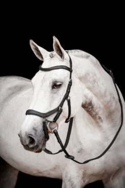 Horseware Rambo Micklem 2 Diamante Competition Trense Mit Zügeln