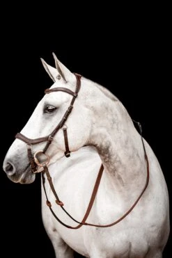 Horseware Rambo Micklem 2 Diamante Competition Trense Mit Zügeln 7 Horseware Rambo Micklem 2 Diamante Competition Trense Mit Zügeln -Reitsportbedarf 345015 DBR 01