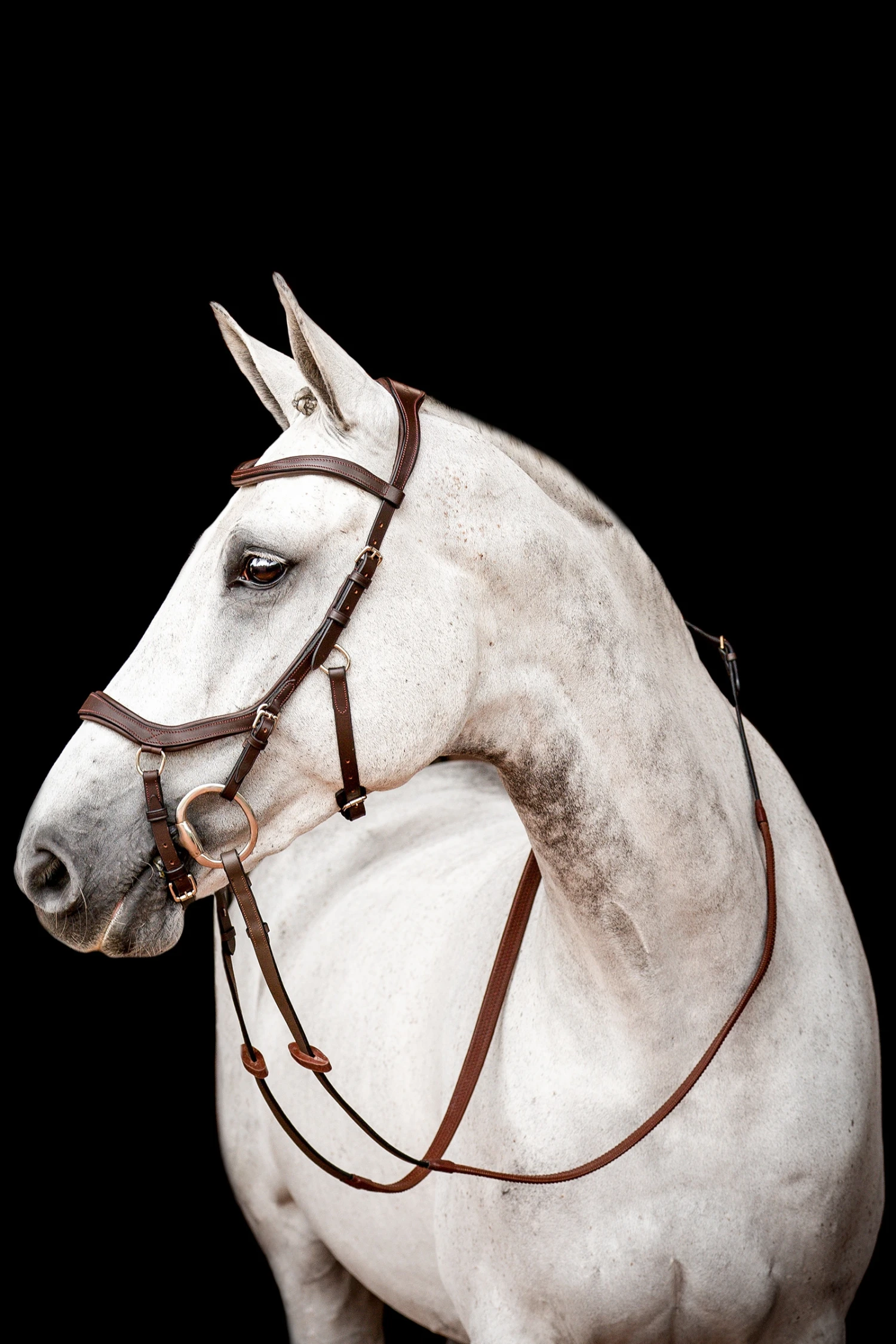 Horseware Rambo Micklem 2 Diamante Competition Trense Mit Zügeln 3 Horseware Rambo Micklem 2 Diamante Competition Trense Mit Zügeln – Bild 3