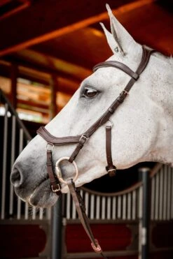 Horseware Rambo Micklem 2 Diamante Competition Trense Mit Zügeln 8 Horseware Rambo Micklem 2 Diamante Competition Trense Mit Zügeln -Reitsportbedarf 345015 DBR 02