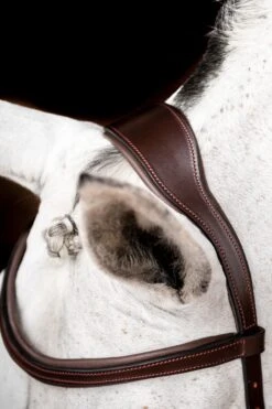 Horseware Rambo Micklem 2 Diamante Competition Trense Mit Zügeln 9 Horseware Rambo Micklem 2 Diamante Competition Trense Mit Zügeln -Reitsportbedarf 345015 DBR 03