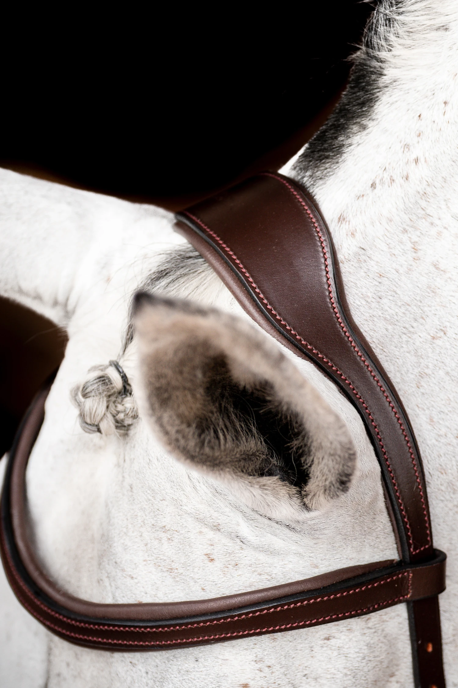 Horseware Rambo Micklem 2 Diamante Competition Trense Mit Zügeln 5 Horseware Rambo Micklem 2 Diamante Competition Trense Mit Zügeln – Bild 5