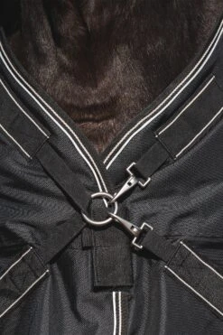 Back On Track Obsidian Weidedecke, 150g 12 Back On Track Obsidian Weidedecke, 150g -Reitsportbedarf 345231 BL 05