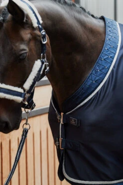 Eskadron Platinum Pure FS23 Dura Crystal Transportdecke -Reitsportbedarf 345520 DB 03