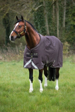 Horseware Amigo Bravo 12 Winterdecke, 250g -Reitsportbedarf 922496 BR OWH 1