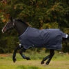 Horseware Amigo Bravo 12 Winterdecke, 250g