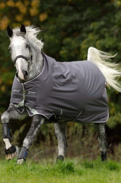 Horseware Amigo Bravo 12 Winterdecke, 250g -Reitsportbedarf 922496 DG PRE WH 1