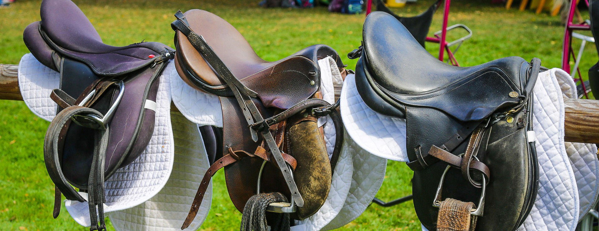 Reitsportbedarf -Reitsportbedarf saddle 3647014 1920